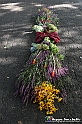 VBS_9535 - Infiorata di Villanova d'Asti 2023